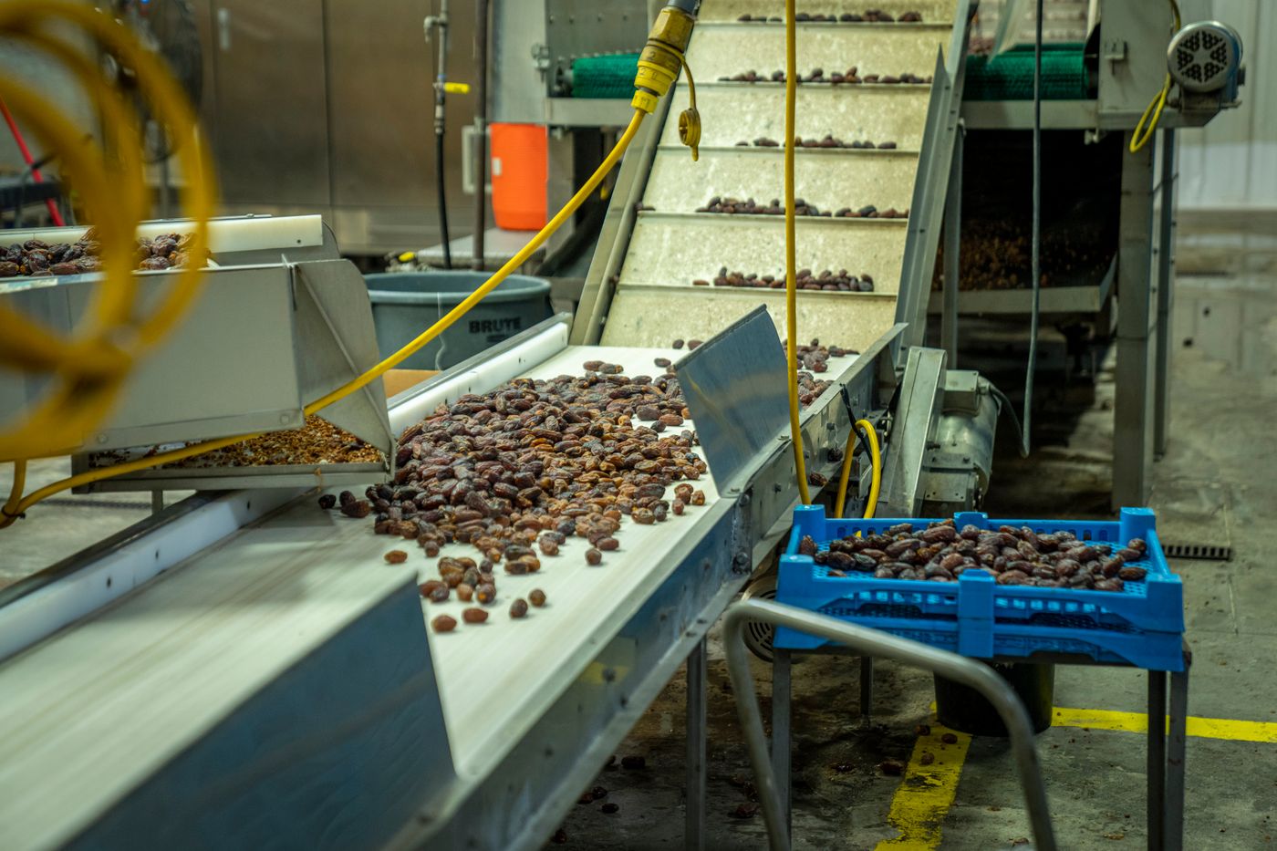 Production agroalimentaire