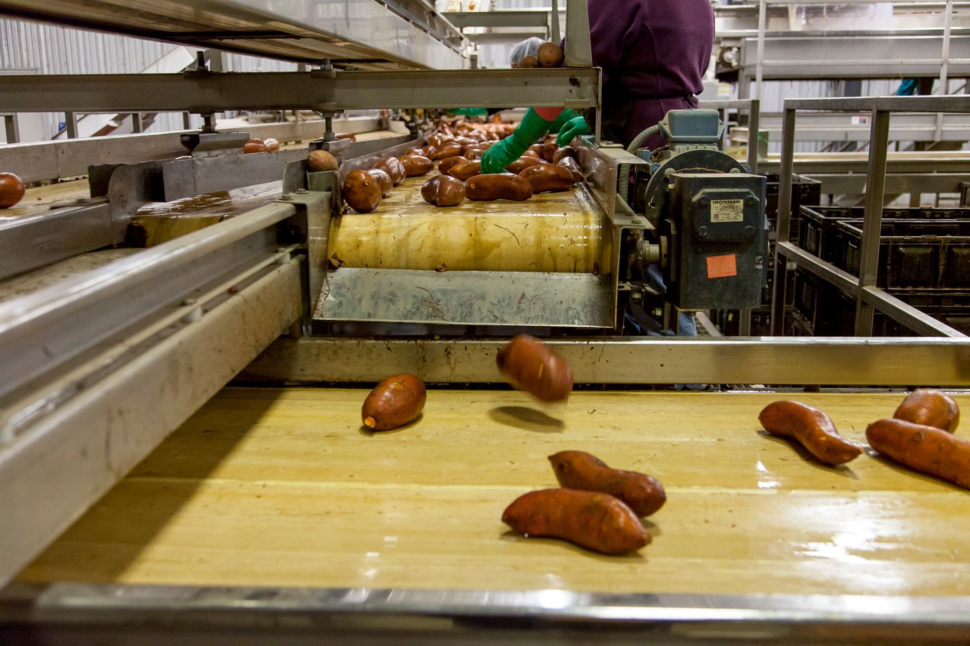 Production agroalimentaire